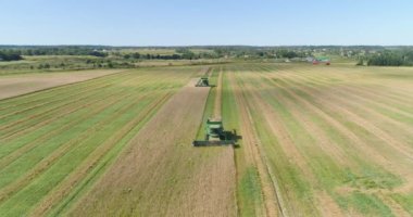 Hasat işindeki hasatçıyı tarla buğdayını hasat ederken birleştirin. Hava manzaralı biçerdöver olgun dikenler, arpa ve çavdar biçer..