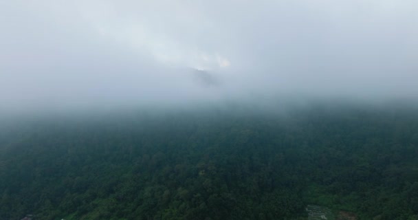 Bergen Jungle Bedekt Met Wolken Tropen Sumatra Indonesië — Stockvideo