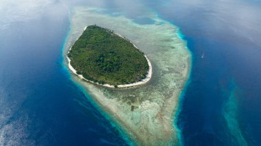 Okyanusta plajı olan tropik adanın havadan görünüşü. Palmiye ağaçları olan güzel kumlu bir sahil. Balabac, Palawan. Filipinler.