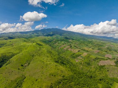 Dağlık bölgede ekinleri olan tarım arazileri. Filipinler.