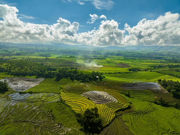 Aerial drone of agriculture in the highlands. Farmland and rice fields. Negros, Philippines