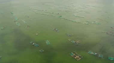 Taal, Filipinler, Luzon gölündeki balık ve karides kafesli balık çiftliğinin havadan görünüşü. Bangus için balık göleti, sütçü balığı.