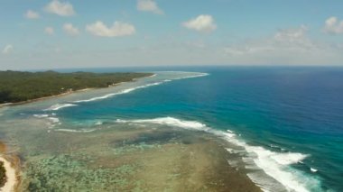 Siargao adasının kıyısında, palmiye ağaçları ve dalgalı okyanuslar ve mercan resiflerinde sörf. Filipinler