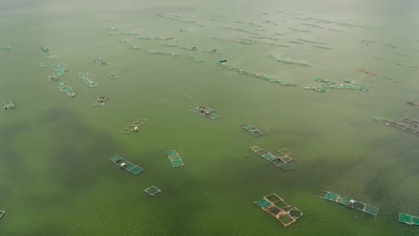 필리핀 호수에 물고기와 새우를 양어장을 공중에서 구경할 수있었다 양어장 Bangus — 비디오