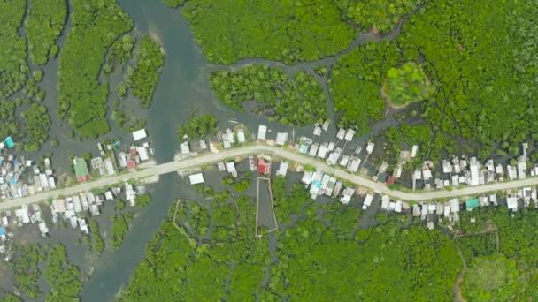该村和公路之间的红树林从上方 菲律宾Siargao岛 — 图库视频影像