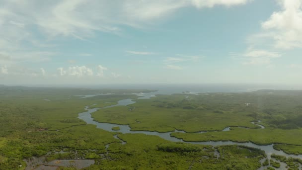 Vista Aérea Ecología Verde Manglar Naturaleza Selva Tropical Bahía Mar — Vídeo de stock