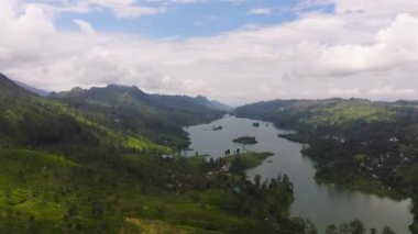 Dağlardaki göl manzarası çay tarlalarıyla çevrili tepelerle çevrili. Maskeliya, Castlereigh, Sri Lanka.
