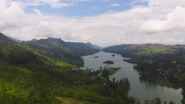 Letecký Pohled Jezero Horách Obklopeno Kopci Čajovými Plantážemi Maskélie Castlereigh — Stock video