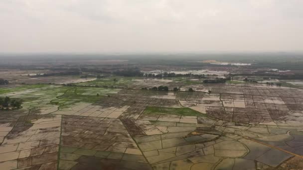 Flygfoto Över Landsbygdsområden Med Risfält Och Jordbruksmark Sri Lanka — Stockvideo