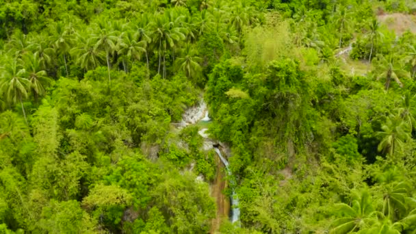 緑の森の中の美しい滝 トップビュー 熱帯イナムバカン山のジャングルの滝 フィリピン 熱帯雨林の滝 — ストック動画
