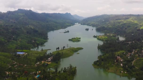 Lake Hills Tea Plantations Mountains Maskeliya Castlereigh Sri Lanka — Video Stock