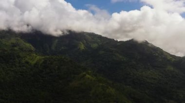 Dağ yamaçlarının tepesi yağmur ormanları ve ormanlarla kaplı. Sri Lanka.