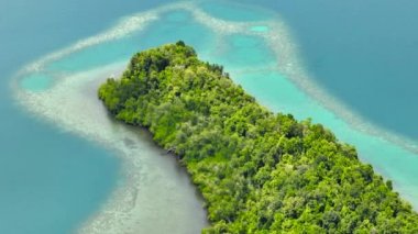 Turkuaz suyu olan tropik bir göl ve tropik bitki örtüsü olan kıyı şeridi. Borneo, Sabah, Malezya.