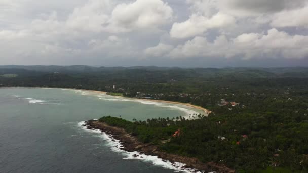 ヤシの木の間にビーチやホテルがある海岸 スリランカのディケッラビーチ — ストック動画