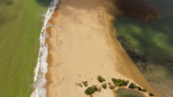美しいビーチトップビューと熱帯の風景 熱帯のビーチの風景 スリランカのカルピティヤ — ストック動画