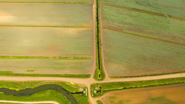 Вид Зверху Сільськогосподарські Ландшафтні Райони Зелені Культури Полі Початку Літа — стокове фото