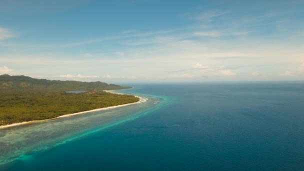 Pantai Pasir Udara Dan Pohon Palem Biru Laguna Pirus Laut — Stok Video