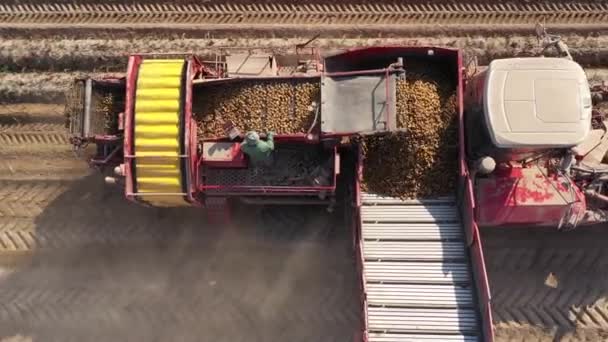 Tractor Potato Harvester Field Aerial View Potato Harvester — Stock Video