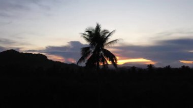 Tropik bir adanın üzerinde gün batımı. Akşam gökyüzüne karşı bir palmiye ağacının silüeti..