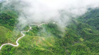 Dağ yolu, yeşil orman ve bitki örtüsüyle kaplı dağların ve tepelerin yamaçlarından geçiyor. Filipinler, Luzon. Dağlar yağmur ormanlarıyla kaplı, hava manzaralı..