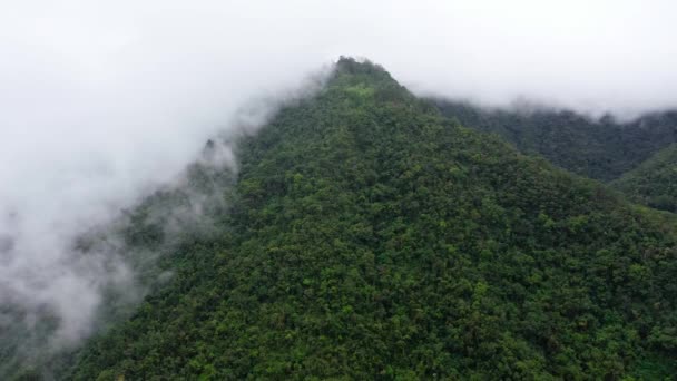 Cordillère Sur Île Luçon Philippines Vue Aérienne Montagnes Forêt Tropicale — Video