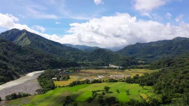 Horská Krajina Rýžovými Poli Hory Krásné Údolí Rýžovými Terasami Příroda — Stock video
