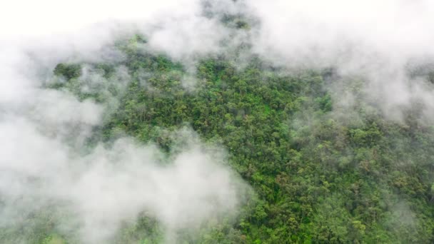 Cordillère Sur Île Luçon Philippines Vue Aérienne Montagnes Forêt Tropicale — Video
