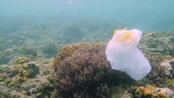 Zanieczyszczenie Rafy Koralowej Odpadami Plastikową Torbą Problem Ekologiczny Zanieczyszczenie Środowiska — Wideo stockowe