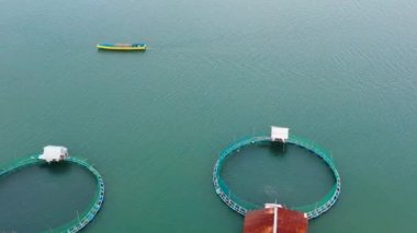Balık ve karides için kafesli balık çiftliği, üst manzara. Tilapia için balık kafesi, sütçü çiftliği, su kültürü ve pisikoloji pratikleri. Filipinler, Luzon. Bangus ve süt balıkları için balık göletlerinin havadan görünüşü.