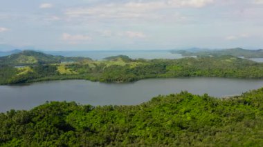 Yağmur ormanları ve deniz gölleri olan tepeler, manzaralı. Filipinlerin doğası, Samar. Tropik bir manzara. Yaz ve seyahat tatil konsepti.