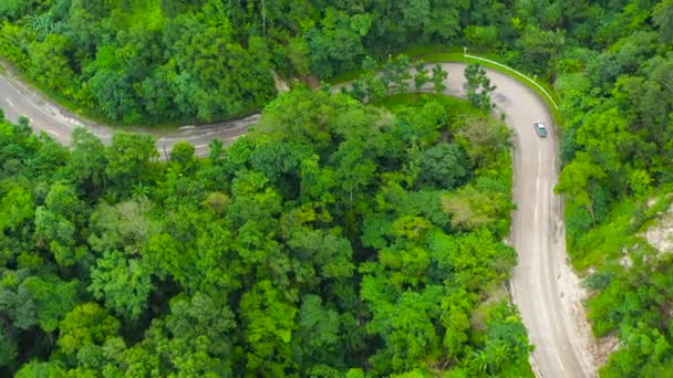 Camino Selva Tropical Vista Superior Naturaleza Isla Luzón Filipinas Concepto — Vídeos de Stock