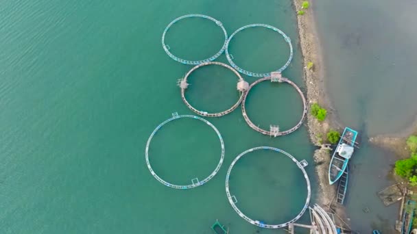 어업이다 산업적 규모로 이루어지고 있습니다 규모의 전통적 양어장을 공중에서 — 비디오