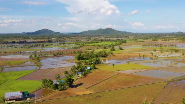 Paisagem Leyte Island Filipinas Campos Arroz Vista Superior Agricultura Clima — Vídeo de Stock