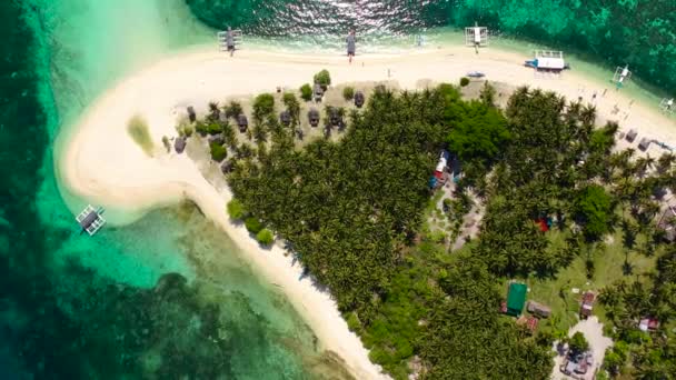 Wyspa Tropikalną Plażą Turkusowymi Lagunami Biały Piasek Plaża Kokosowymi Drzewami — Wideo stockowe