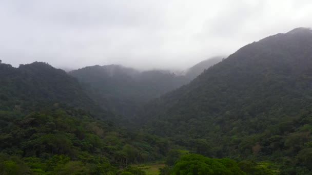 Hory Jsou Pokryty Deštnými Pralesy Horské Vrcholy Tropickém Podnebí Vysočina — Stock video