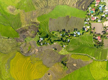 Top view of farmland with rice terraces in the countryside. Negros, Philippines.