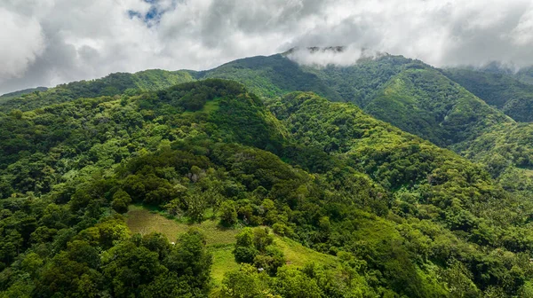 Berghänge Mit Regenwald Und Dschungel Bedeckt Philippinen Insel Negros — Stockfoto