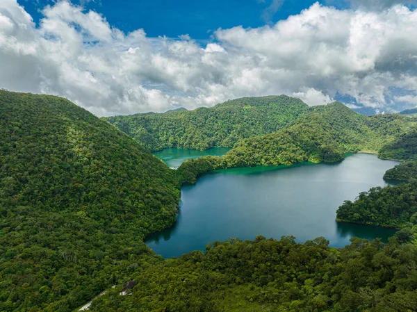 高山湖中的热带植物 Balinsasayao Twin湖自然公园 Negros 菲律宾 — 图库照片