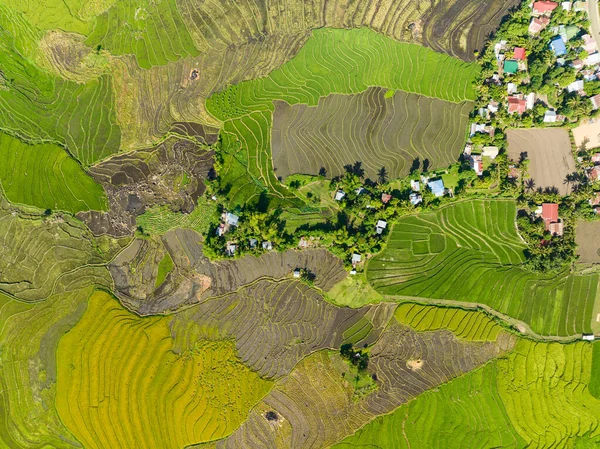 Vue Dessus Des Terres Agricoles Avec Terrasses Riz Dans Campagne — Photo