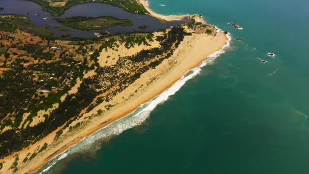 Aerial View Sandy Beach Palm Trees Ocean Surf Waves Sri — Videoclip de stoc