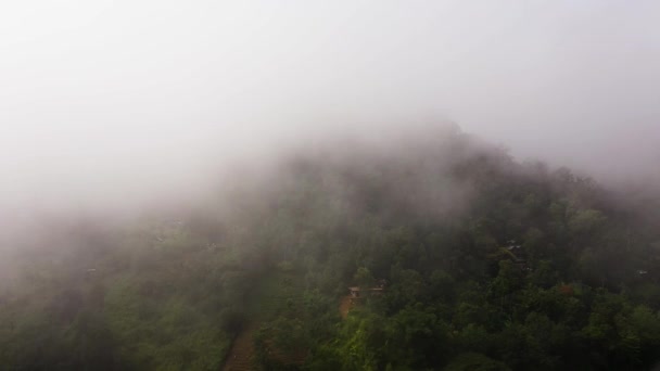 Вид Воздуха Чайные Плантации Сельскохозяйственные Угодья Склонах Гор Шри Ланка — стоковое видео
