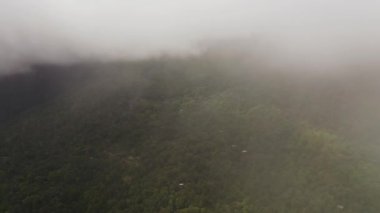 Dağ yamaçlarında yağmur ormanları ve yukarıdan orman manzarası var. Sri Lanka.