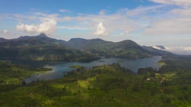 Dağlardaki çay evi arasında bir göl. Çay tarlaları. Sri Pada, Adams Tepesi, Sri Lanka.