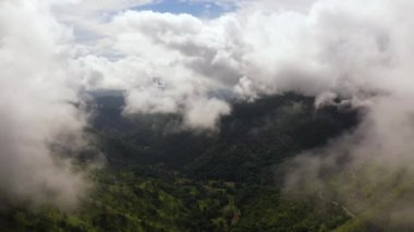 Sri Lanka 'da orman ve dağlar. Tropikal bitki örtüsü olan dağ yamaçları.