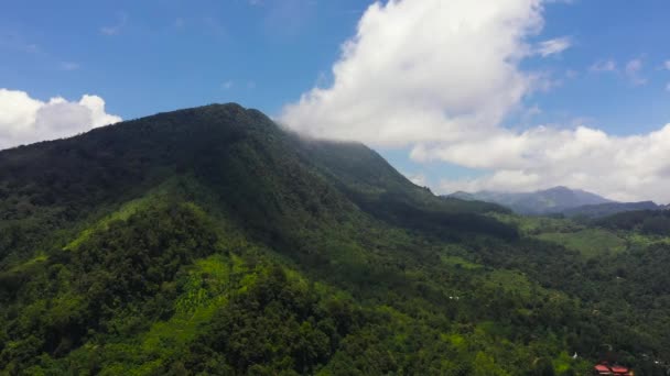 Tea Plantations Agricultural Land Slopes Mountains Sri Lanka — Vídeo de stock