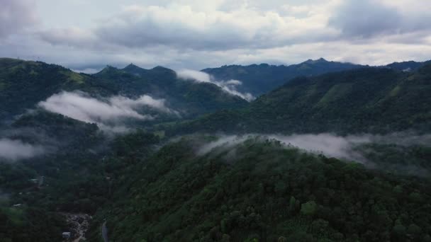 Воздушный Беспилотник Горных Склонов Тропическим Лесом Туманом Вечером — стоковое видео