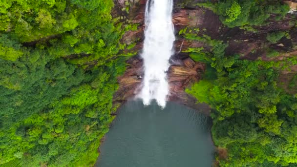Καταρράκτες Ανάμεσα Στο Πράσινο Δάσος Σρι Λάνκα Gartmore Falls Σρι — Αρχείο Βίντεο