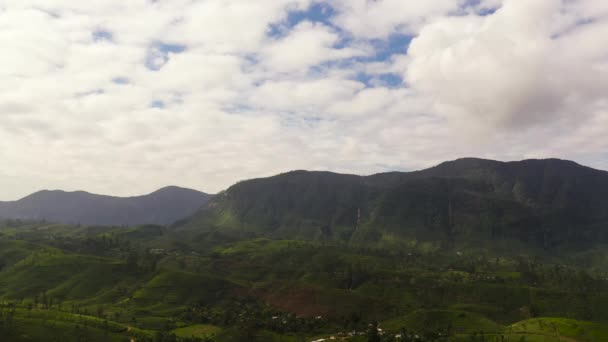 Top View Tea Plantations Hillsides Mountains Sri Lanka Tea Estate — Video Stock