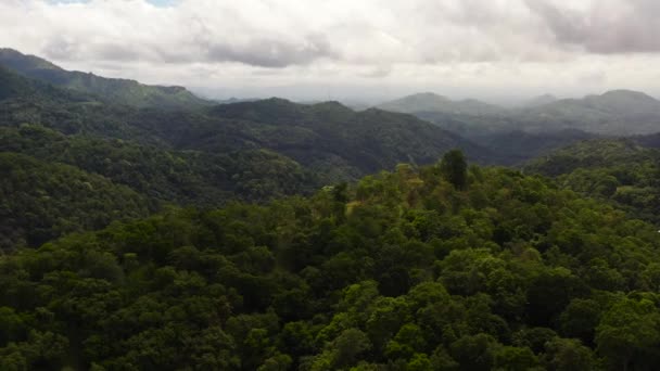 Djungel Och Berg Sri Lanka Bergsluttningar Med Tropisk Vegetation — Stockvideo