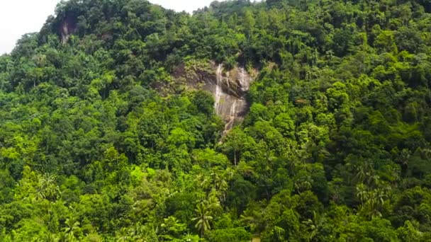 Wodospad Górskim Wąwozie Tropikalnej Dżungli Sri Lanka — Wideo stockowe